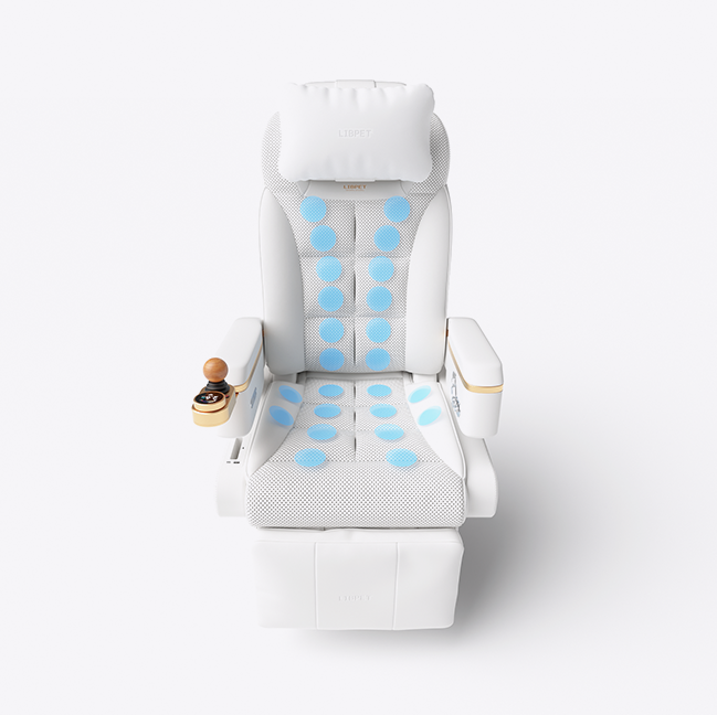 Full-body multi-point support